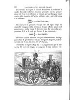 giornale/TO00194031/1886/V.1/00000332