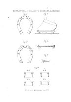 giornale/TO00194031/1886/V.1/00000433