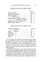 giornale/TO00194031/1887/V.2/00000107