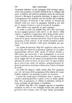 giornale/TO00194031/1888/V.1/00000254