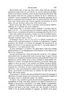 giornale/TO00194031/1888/V.2/00000303