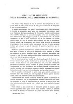 giornale/TO00194031/1893/V.2/00000513