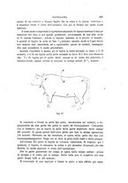 giornale/TO00194031/1893/V.2/00000531