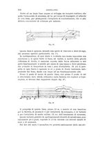 giornale/TO00194031/1895/V.1/00000354