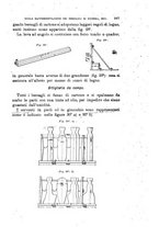 giornale/TO00194031/1895/V.3/00000319