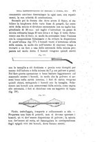 giornale/TO00194031/1895/V.3/00000343