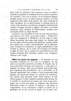 giornale/TO00194031/1895/V.4/00000035