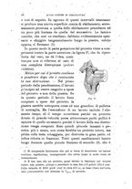 giornale/TO00194031/1895/V.4/00000038