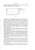 giornale/TO00194031/1896/V.2/00000191