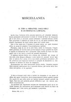 giornale/TO00194031/1896/V.2/00000543