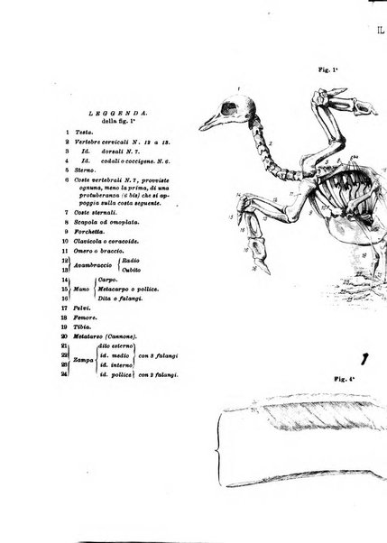 Rivista di artiglieria e genio