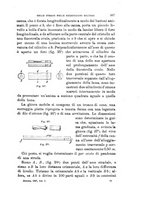 giornale/TO00194031/1897/V.1/00000305