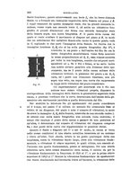 giornale/TO00194031/1899/V.3/00000348