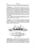 giornale/TO00194031/1900/V.1/00000152