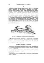 giornale/TO00194031/1900/V.1/00000314