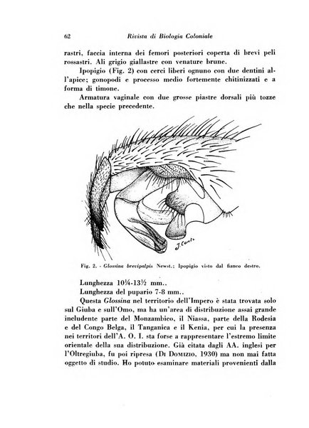 Rivista di biologia coloniale