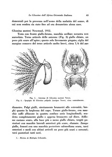 Rivista di biologia coloniale