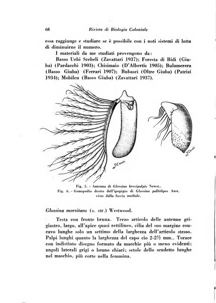 Rivista di biologia coloniale