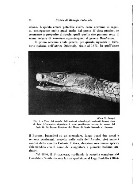 Rivista di biologia coloniale