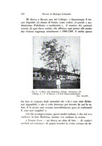 giornale/TO00194036/1938/unico/00000214