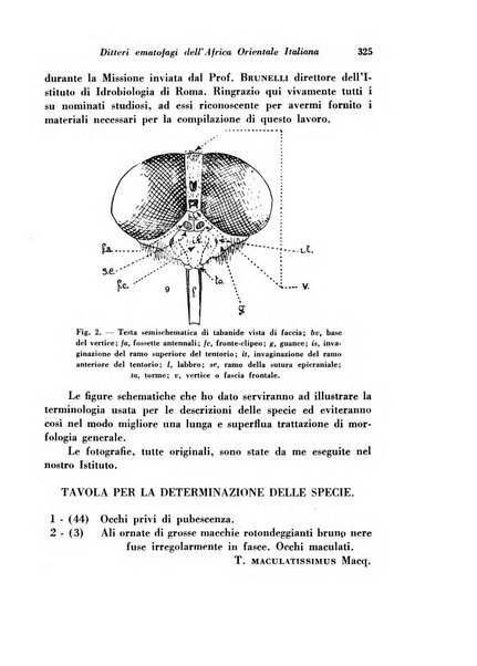 Rivista di biologia coloniale