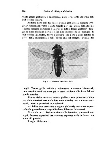 Rivista di biologia coloniale