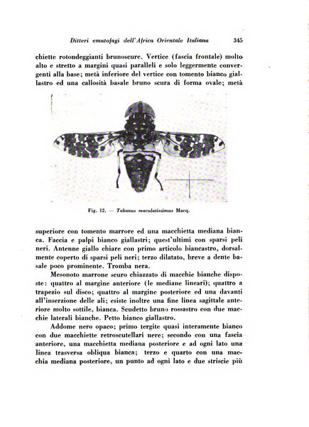 Rivista di biologia coloniale