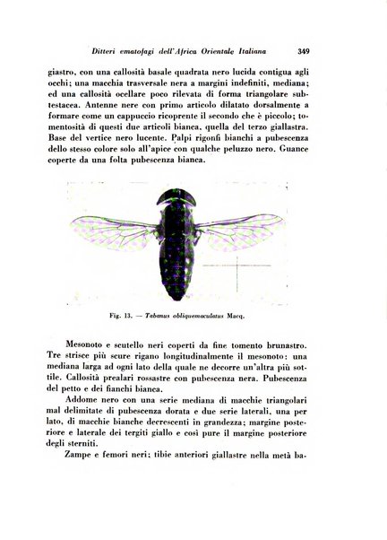 Rivista di biologia coloniale