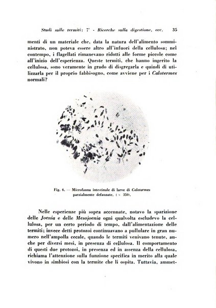 Rivista di biologia coloniale