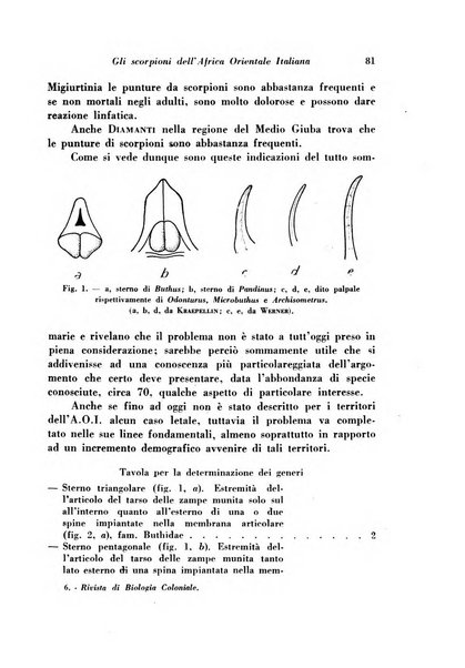 Rivista di biologia coloniale