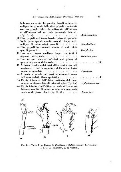 Rivista di biologia coloniale