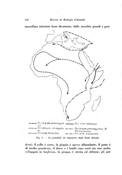 Rivista di biologia coloniale