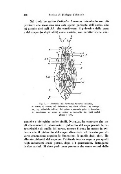 Rivista di biologia coloniale