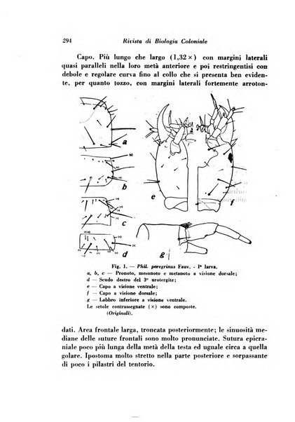 Rivista di biologia coloniale