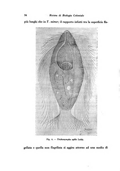 Rivista di biologia coloniale