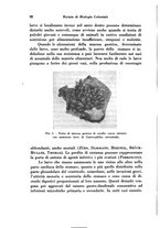 giornale/TO00194036/1942/unico/00000100