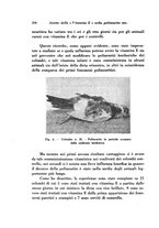 giornale/TO00194036/1942/unico/00000218