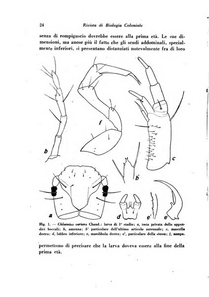 Rivista di biologia coloniale