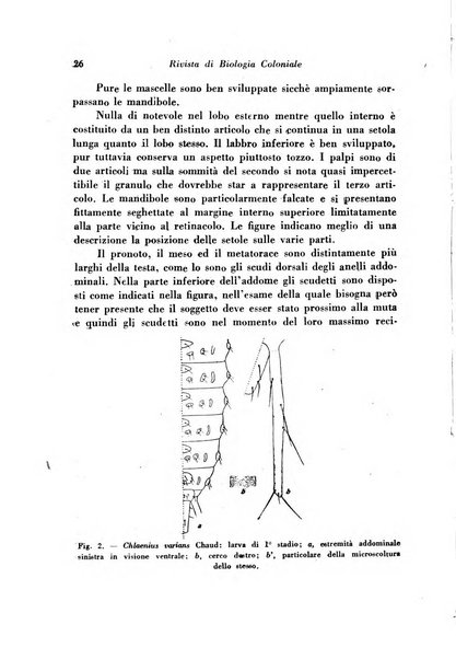 Rivista di biologia coloniale