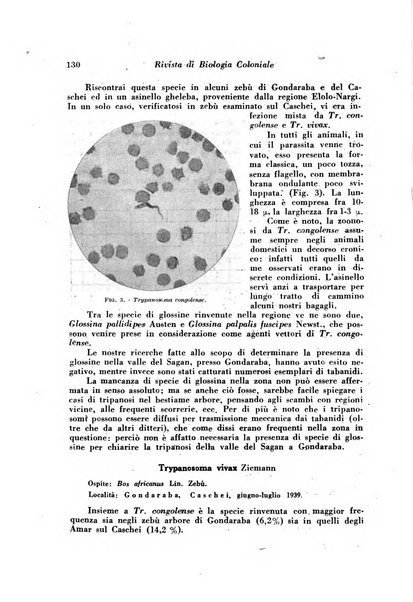 Rivista di biologia coloniale