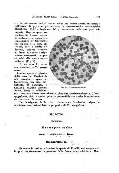 Rivista di biologia coloniale