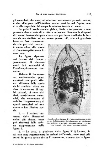 Rivista di biologia coloniale