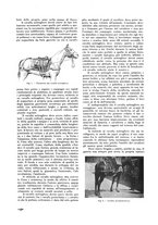 giornale/TO00194037/1934-1935/unico/00000146