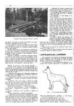 giornale/TO00194037/1937/unico/00000126