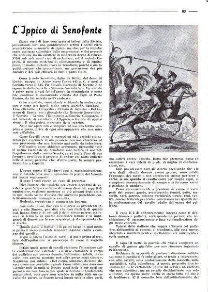 Rivista di cavalleria