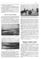 giornale/TO00194037/1942/unico/00000113