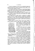 giornale/TO00194040/1905/unico/00000106