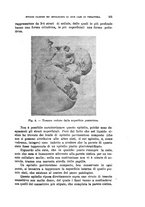 giornale/TO00194040/1905/unico/00000111