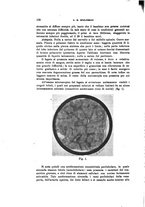 giornale/TO00194040/1905/unico/00000186