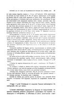 giornale/TO00194040/1906/unico/00000055